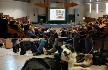 Kutyaetológia konferencia