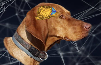 Canine Brain and Tissue Bank