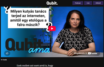 „Kérdezz bármit!” video a Qubiten