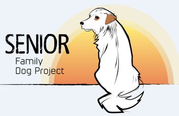 Senior Family Dog Project